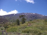 Torrente_Quarantore - 20100606 121.jpg